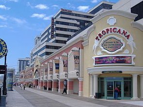 Tropicana Hotel Picture